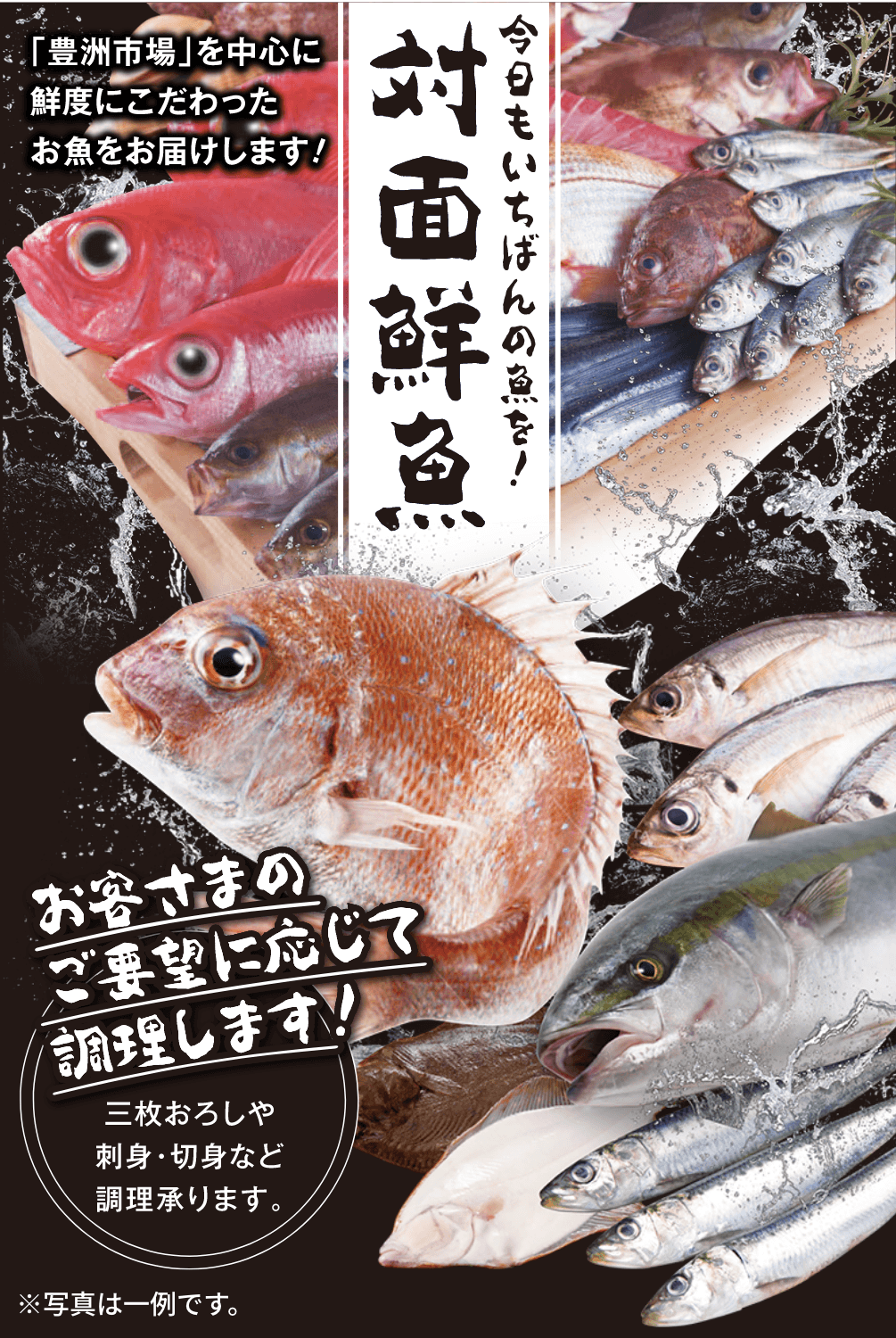 今日もいちばんの魚を 対面鮮魚