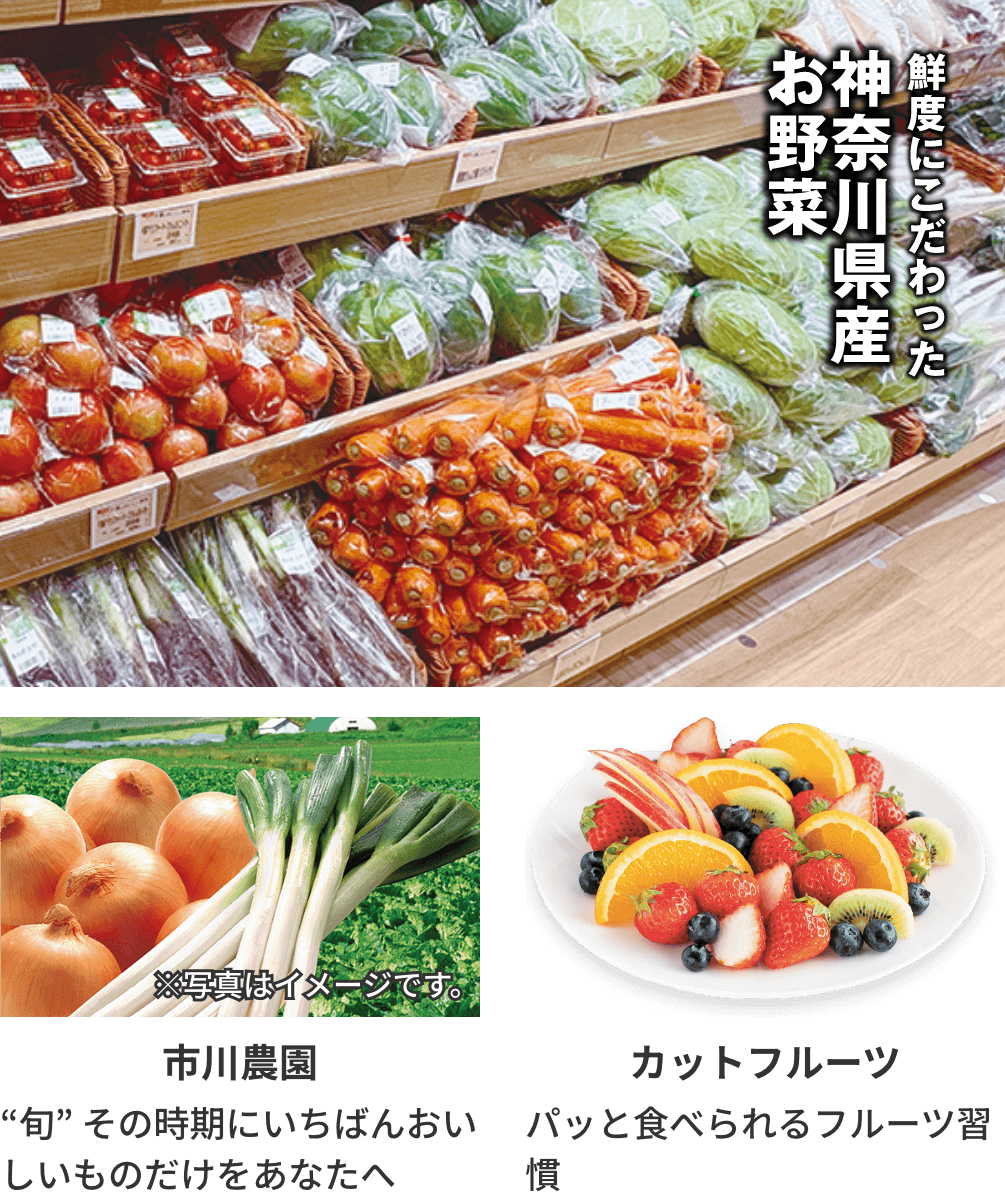 鮮度にこだわった神奈川県産お野菜