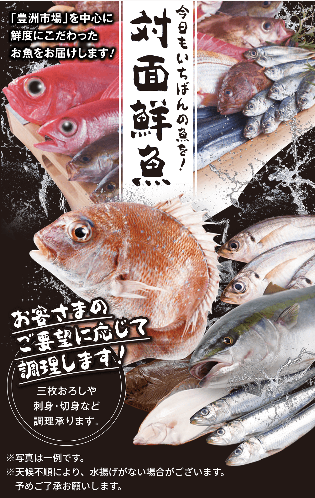 今日もいちばんの魚を 対面鮮魚
