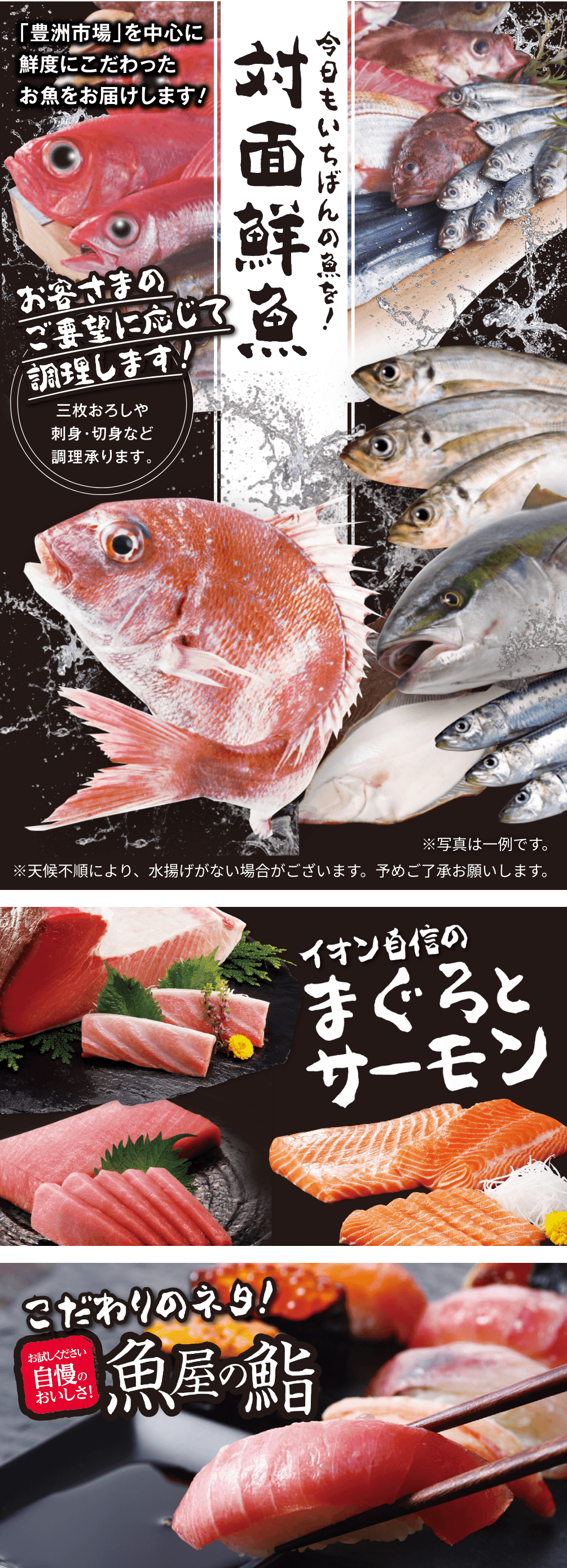 今日もいちばんの魚を 対面鮮魚