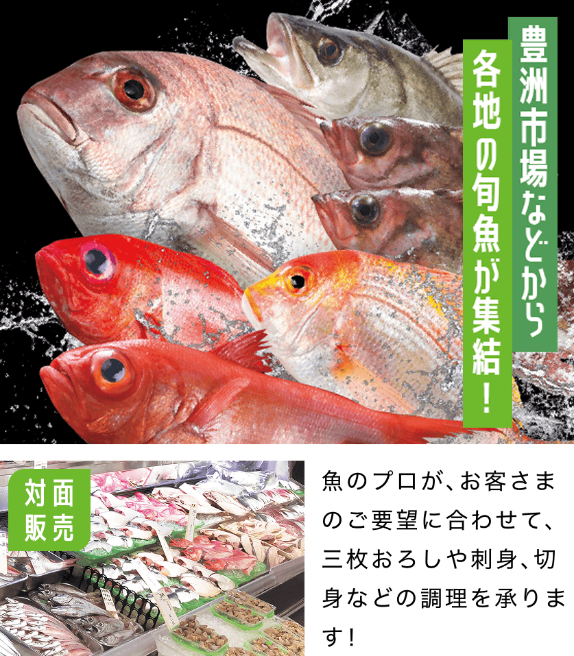 豊洲市場などから各地の旬魚が集結！