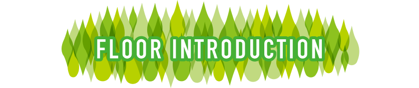 FLOOR INTRODUCTION