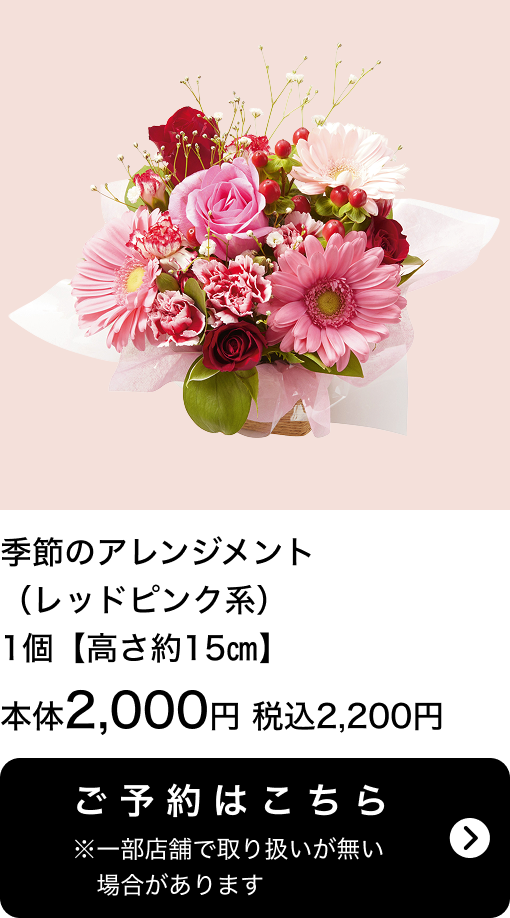 季節のアレンジメント（レッドピンク系）1個【高さ約15㎝】本体2,000円 税込2,200円 ご予約はこちら ※一部店舗で取り扱いがない場合があります