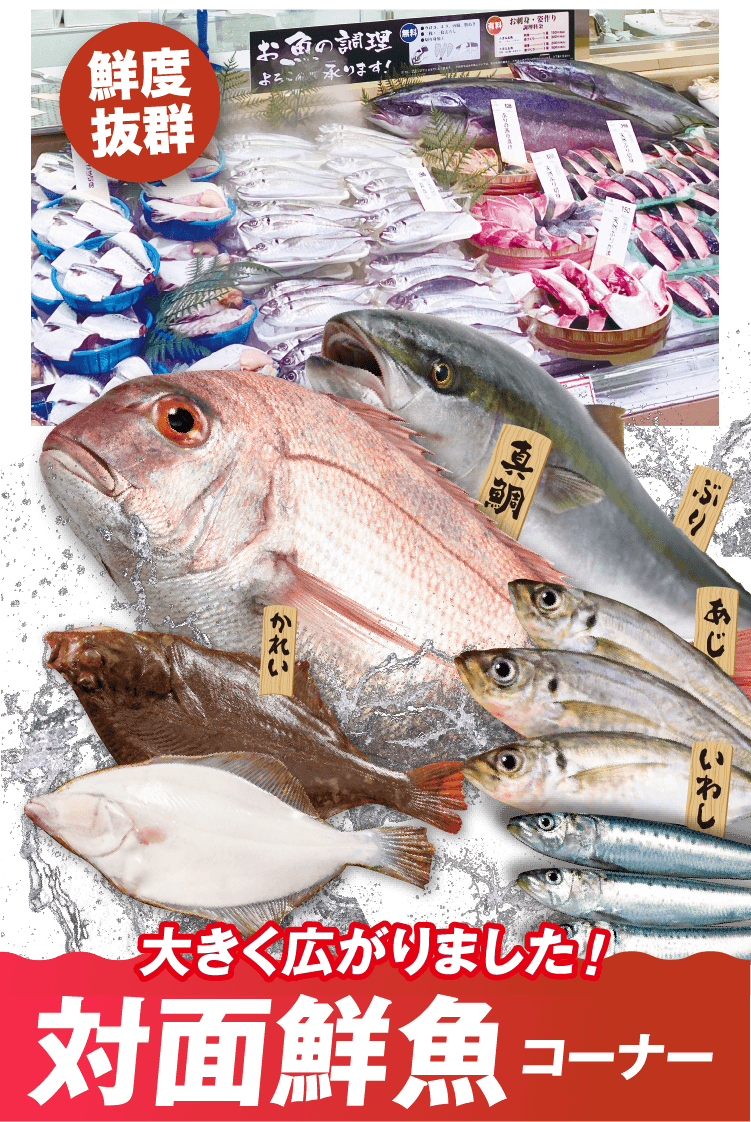 鮮度抜群 大きく広がりました！ 対面鮮魚コーナー