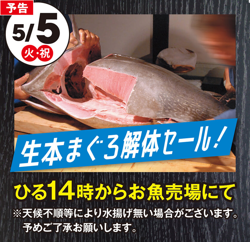 生まぐろ解体セール！5月5日ひる14時からお魚売場にて