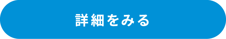 詳細をみる
