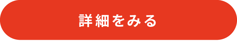 詳細をみる